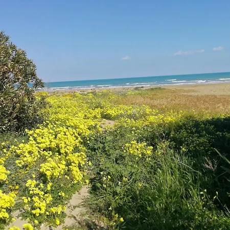 شقة Casaliu' فيستَ